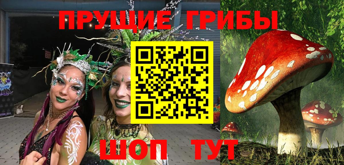 Минеральные Воды  Галлюциногенные грибы мухоморы  Вход с VPN  Псилоцибиновые грибы GOLDEN TEACHER 