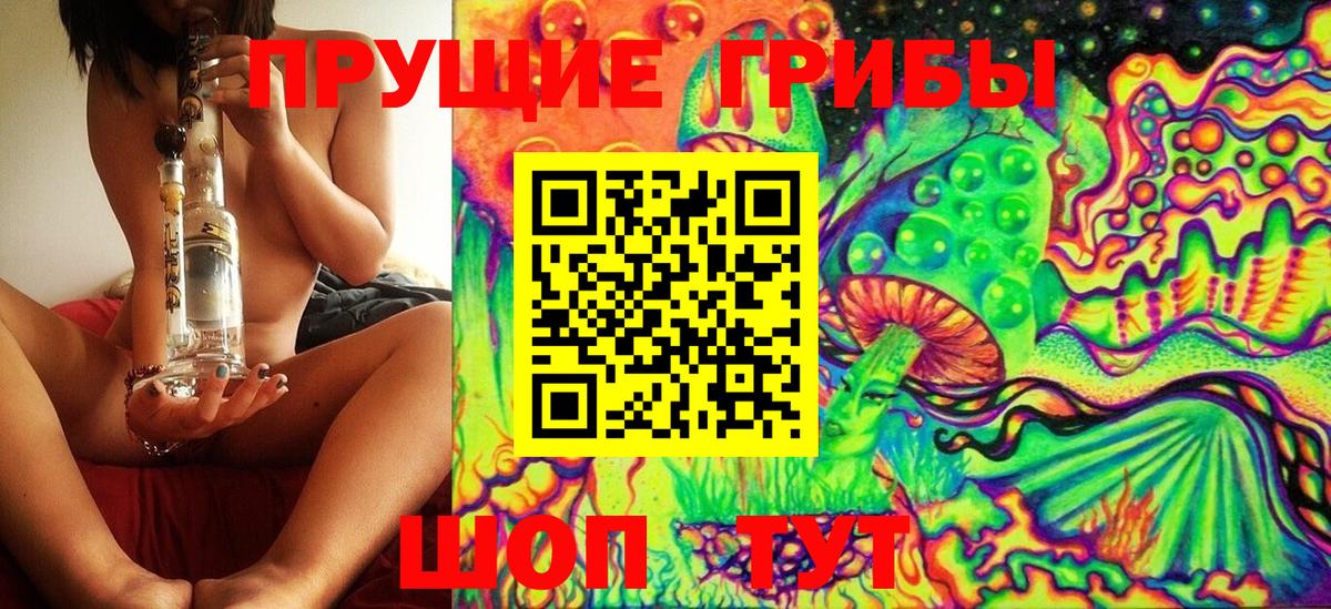 Псилоцибиновые грибы GOLDEN TEACHER Минеральные Воды